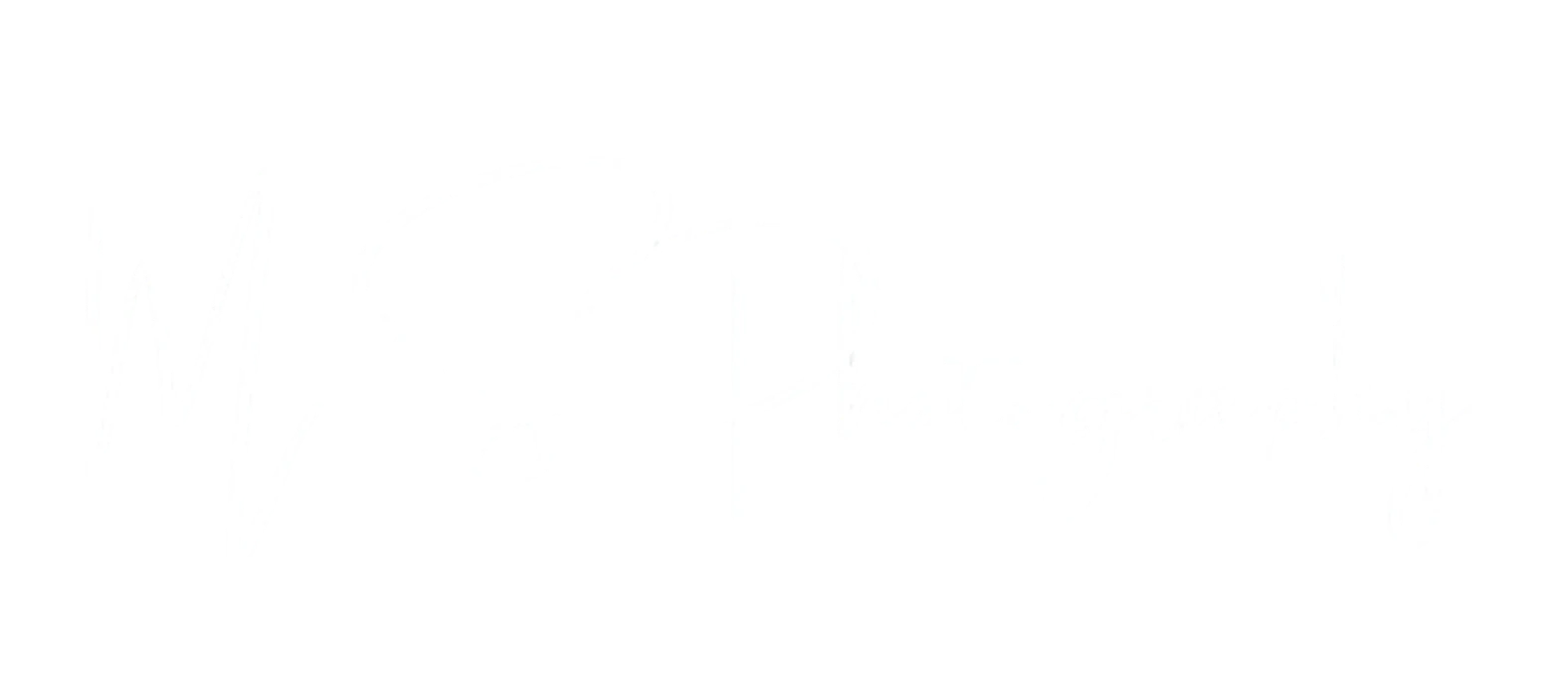 MS Photography